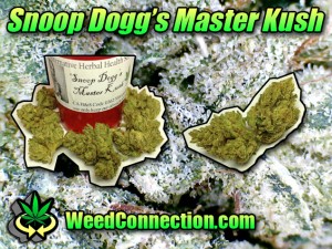Snoop Dogg's Master Kush