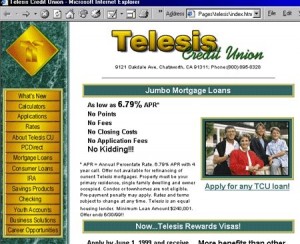 Telesis Credit Union Website