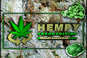 The True OG Cannabis Hemp Network @WeedConnection