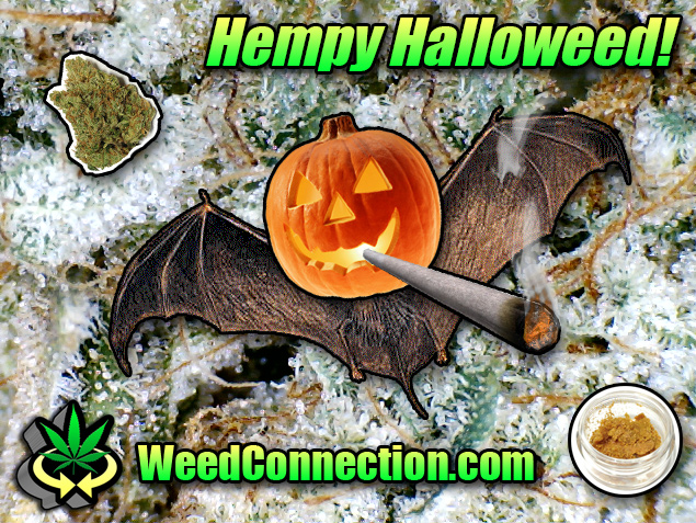#Hempy #Halloweed @WeedConnection